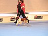 IMG_6869.JPG