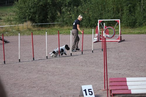 IMG_5088.JPG