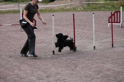 IMG_5152.JPG