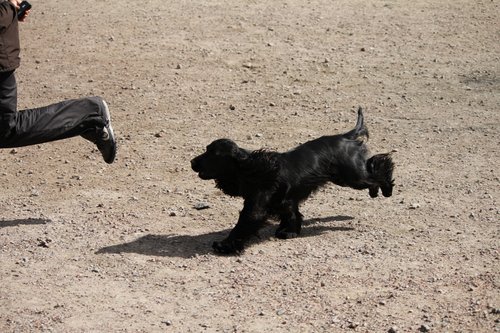IMG_5191.JPG