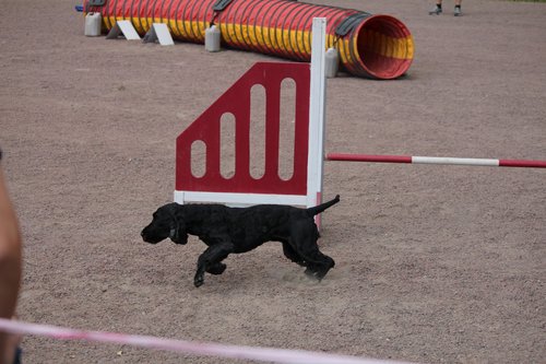 IMG_5214.JPG