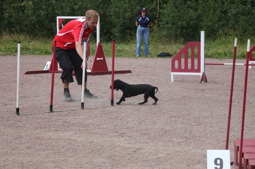 IMG_5215.JPG