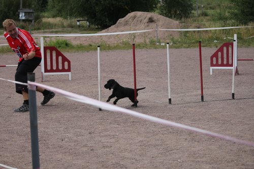 IMG_5221.JPG