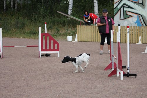 IMG_5238.JPG