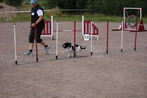 IMG_5254.JPG