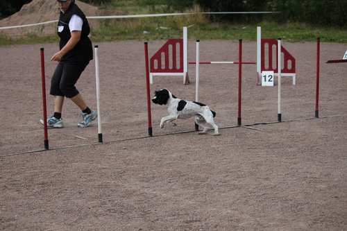 IMG_5255.JPG