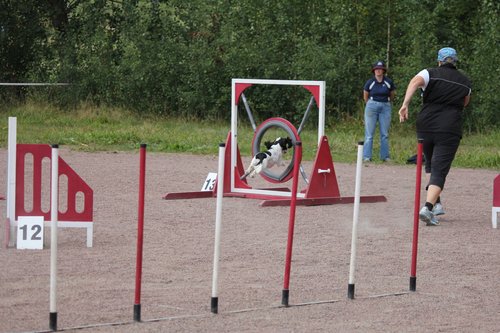 IMG_5262.JPG