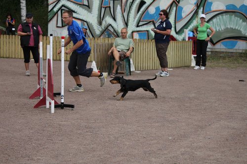 IMG_5275.JPG