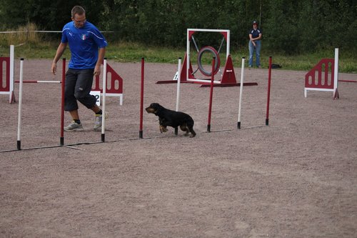 IMG_5296.JPG
