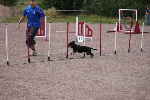 IMG_5297.JPG