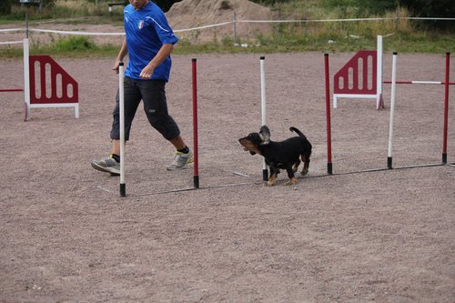 IMG_5299.JPG