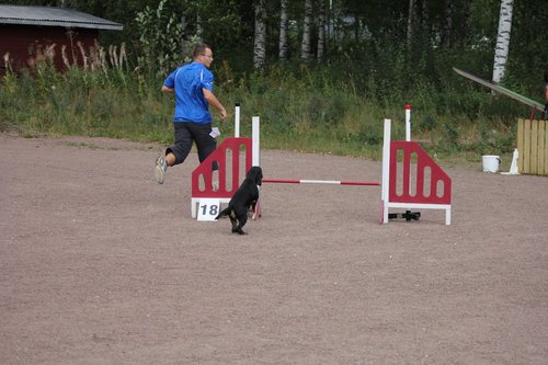 IMG_5317.JPG