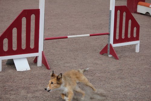 IMG_5323.JPG