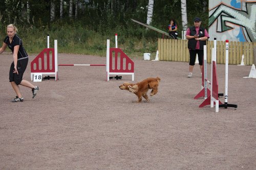 IMG_5326.JPG