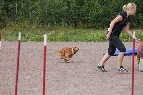 IMG_5335.JPG