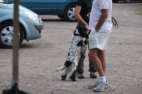 IMG_5356.JPG