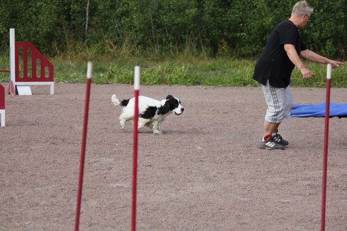 IMG_5445.JPG