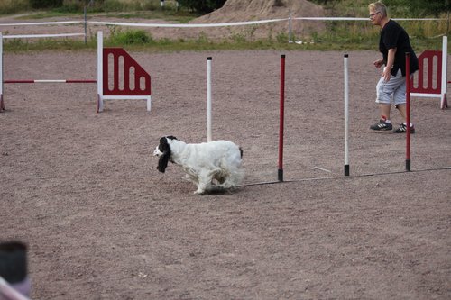 IMG_5458.JPG