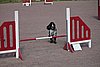 IMG_5093.JPG