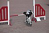 IMG_5094.JPG