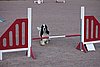IMG_5110.JPG