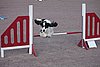 IMG_5111.JPG