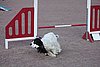 IMG_5112.JPG