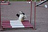 IMG_5113.JPG