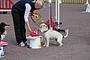 IMG_5118.JPG
