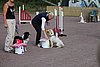 IMG_5120.JPG