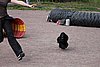 IMG_5147.JPG
