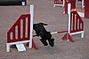 IMG_5148.JPG