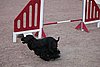IMG_5149.JPG