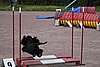 IMG_5150.JPG