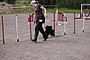 IMG_5151.JPG