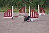 IMG_5159.JPG