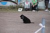 IMG_5167.JPG