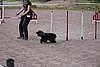 IMG_5171.JPG