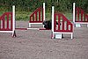IMG_5175.JPG