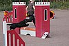 IMG_5178.JPG