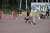 IMG_5181.JPG