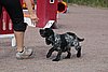 IMG_5185.JPG