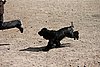 IMG_5191.JPG