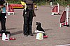 IMG_5200.JPG