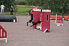 IMG_5202.JPG