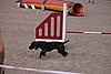 IMG_5214.JPG