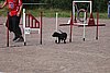 IMG_5217.JPG