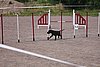 IMG_5219.JPG