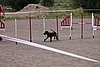 IMG_5220.JPG