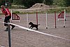 IMG_5221.JPG